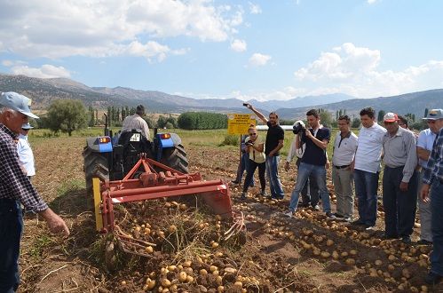 Patatesin Ba�kenti Bek�iler 