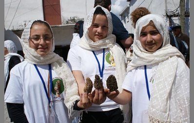 Kuzug�be�i Festivali Ba�l�yor