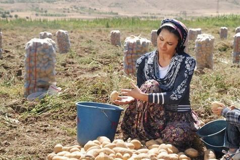 29 Ekimde Seydikemer�de �ifte Bayram Var