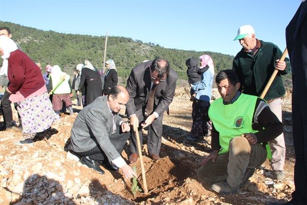 Mu�la�da KAGEM Hat�ra Orman�