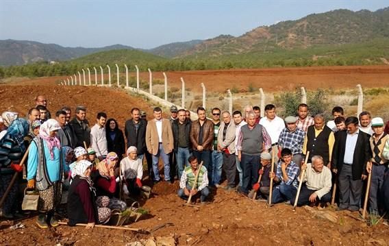 Fethiye�de 650 Bin Fidan Toprakla Bulu�acak