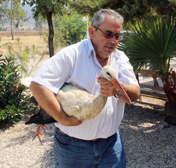 YUVADAN DEN LEYLEK TEDAV ALTINDA