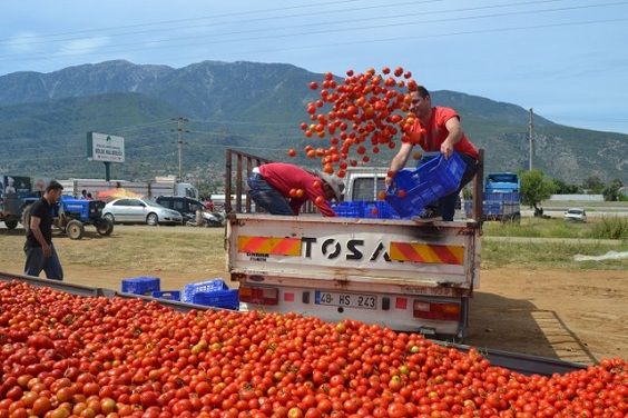 �ift�i Sal�a Fabrikas� �stiyor