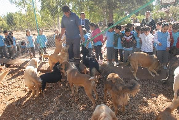 Mobil Klinie Engel Oldular