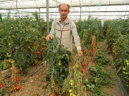 �ift�inin Bozuk Fide �ddias�