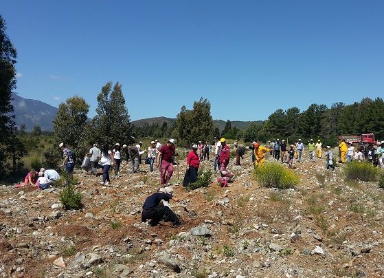 Nursel zdemirden rnek Bir alma Daha