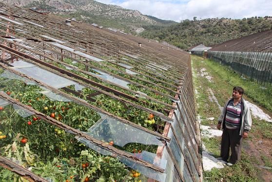 Serac�lar Dolu Ma�duru Oldular