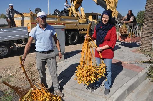 Hurmalar Gz Hakk Niyetine Vatandalara Datld