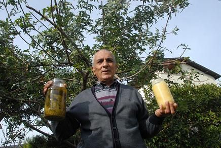 �ifa Kayna�� Brezilya Biberi Fethiye�de de Yeti�tirildi