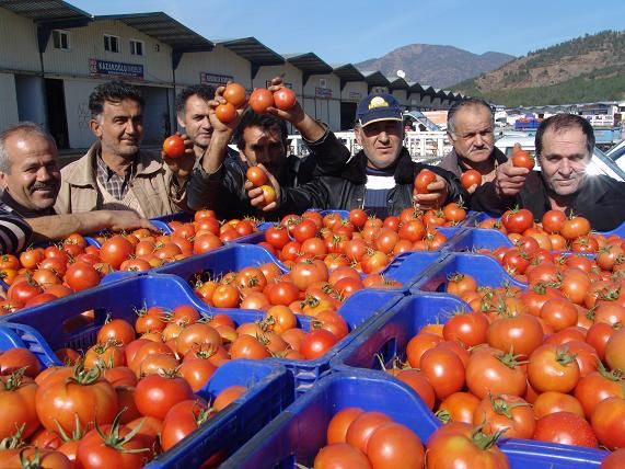 Fethiyede 30 Kuru, stanbulda 8 TL 