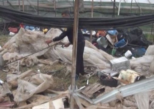 �tfaiyeden Y�lan Operasyonu