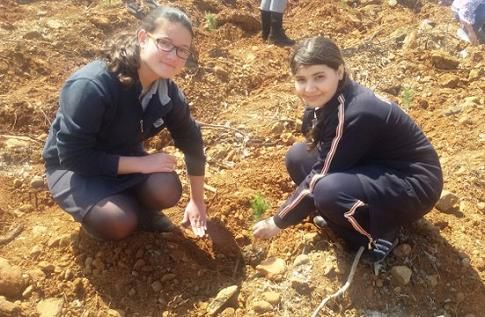 Benimde Bir Aacm Olsun