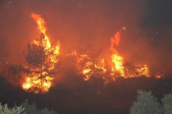 8 Ayda 622 Hektarl�k Alan K�l Oldu