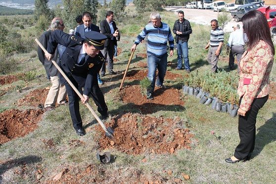 Fethiye Polisi 650 Adet Fidan Dikti 