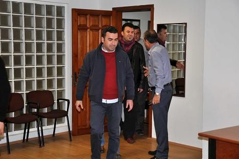 Foal Genler Saatcya Destek in Bir Arada