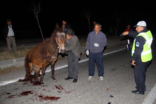 Kamyonetin arpt Katr ne le Uyutuldu 