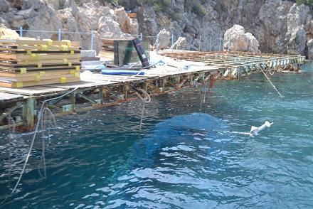 12 Metrelik Tekne Fazla Y�kten Batt�