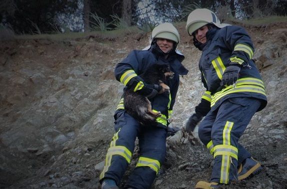 �tfaiye Ekipleri Yavru K�pe�i Kurtard�