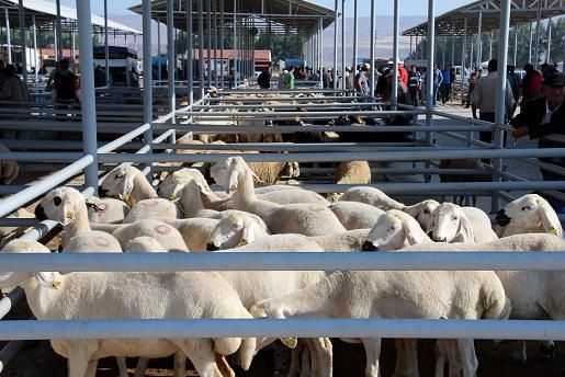 MHP�li Tan�r�dan Belediye Meclisine Anlaml� Teklif