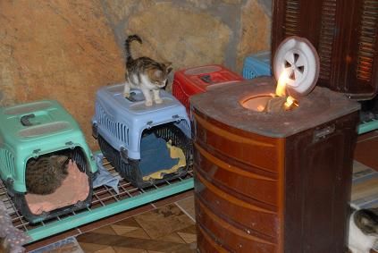 Kediler, Soba �le �zel Olarak Is�t�l�yor