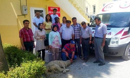 Kurban Keserek Grevlerine Baladlar