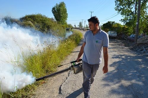 Sivrisinekle Mcadele Devam Ediyor