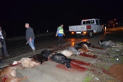 Tr Srye Dald, 30 Kei Telef Oldu